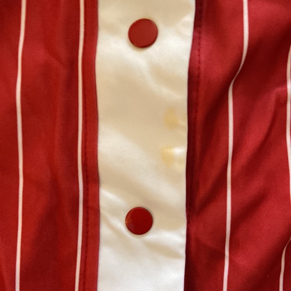 HOMERUN HITTER COSTUME. - Picture 3 of 7